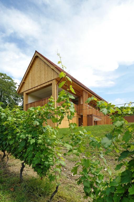 Vino Valdhuber Apartments Svecina ภายนอก รูปภาพ